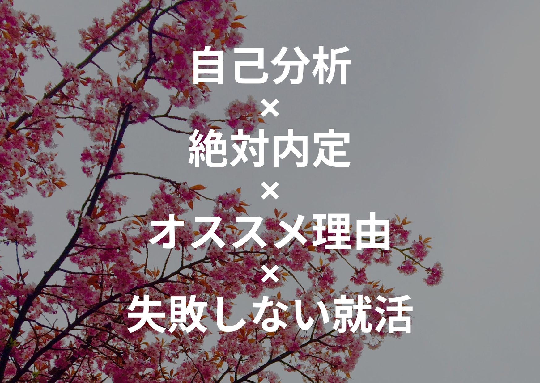 就活本 就活を始めたら絶対内定がおすすめの理由と上手な使い方 就活の考動術