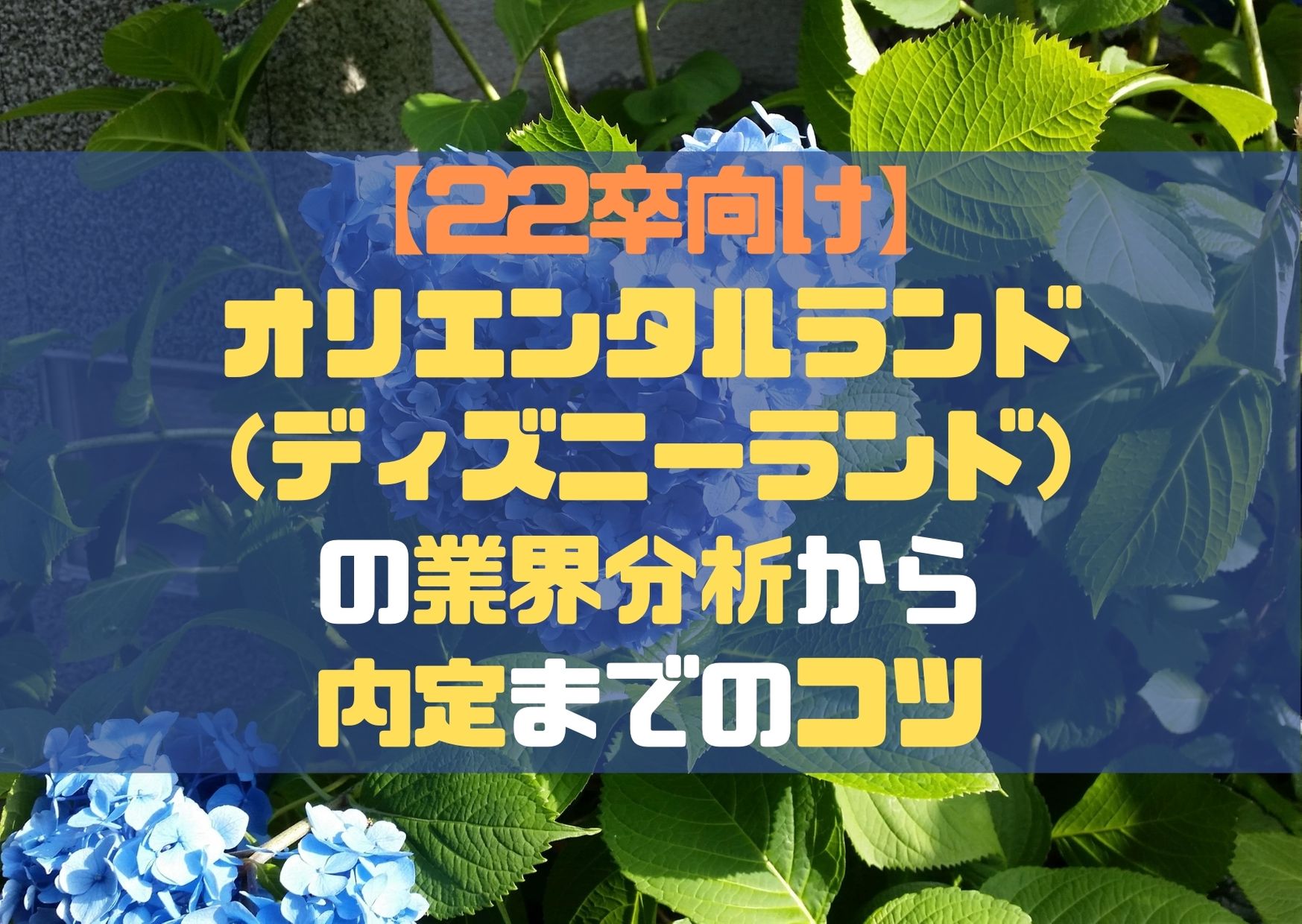 22卒向け オリエンタルランド ディズニーランド の企業分析から内定までのコツ 就活の考動術